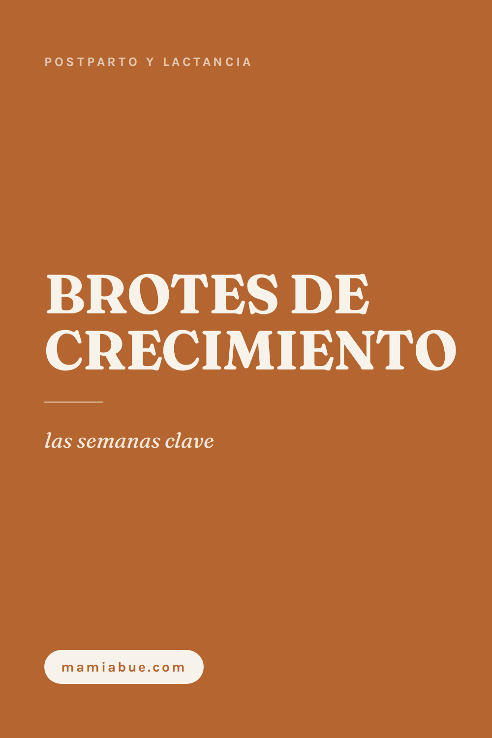 Postparto y lactancia — Mamiabue: postparto y lactancia 13